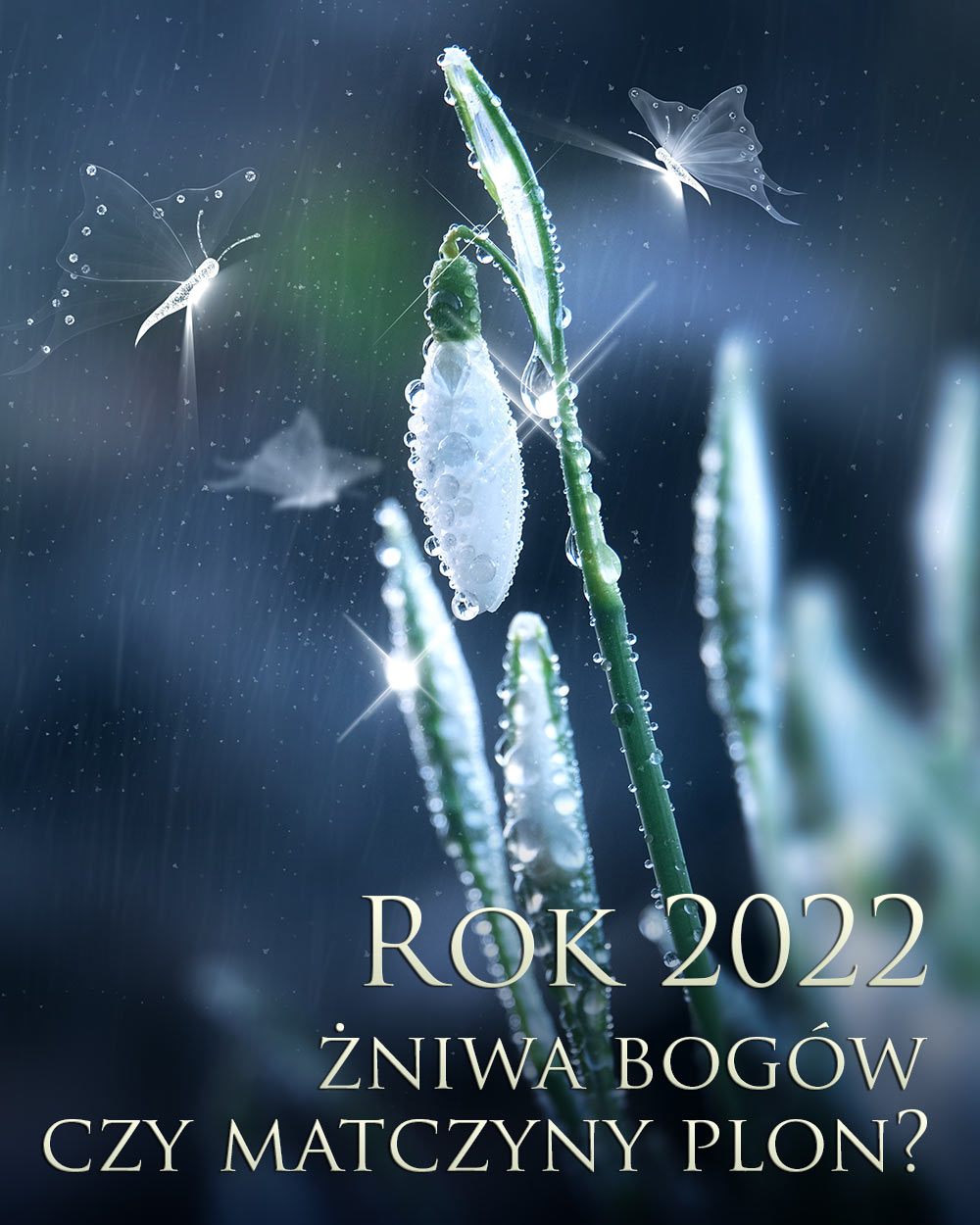 Rok 2022 – żniwa bogów czy matczyny plon?